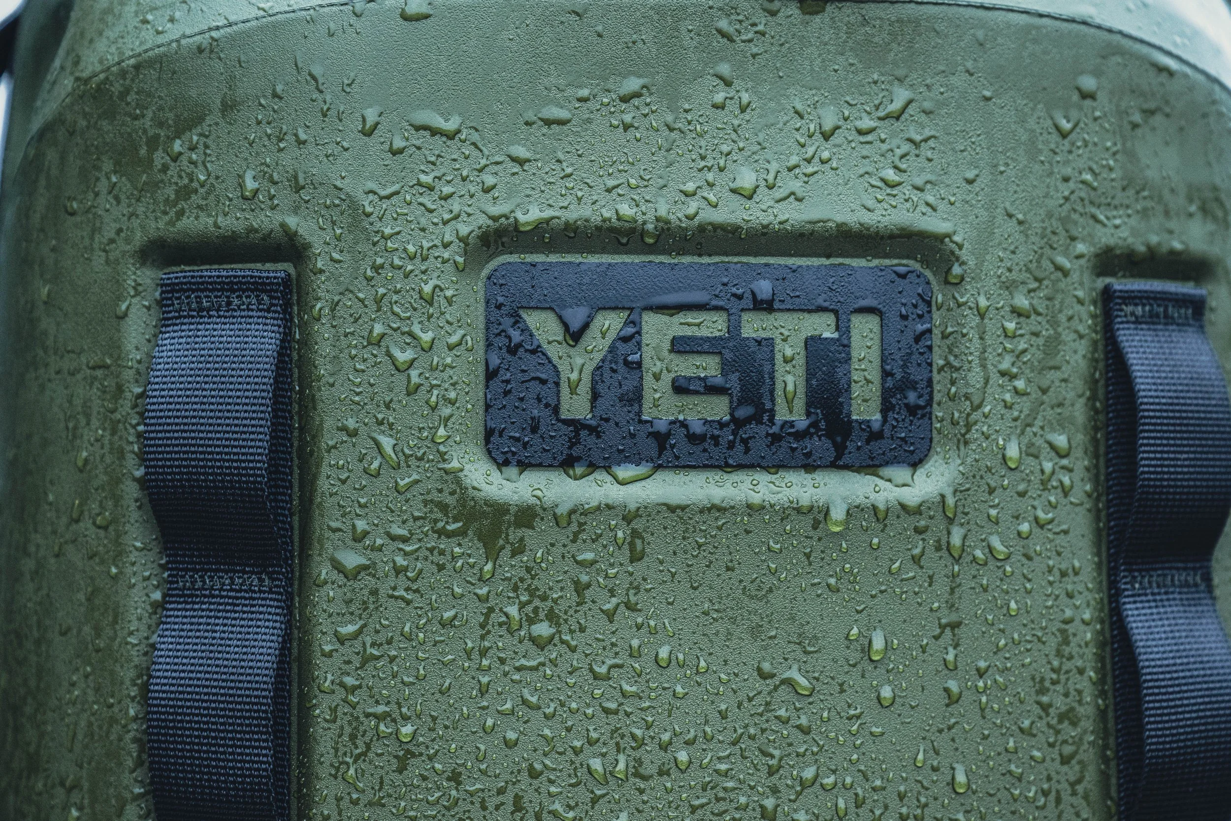 PG_250221_yeti_02374.jpg