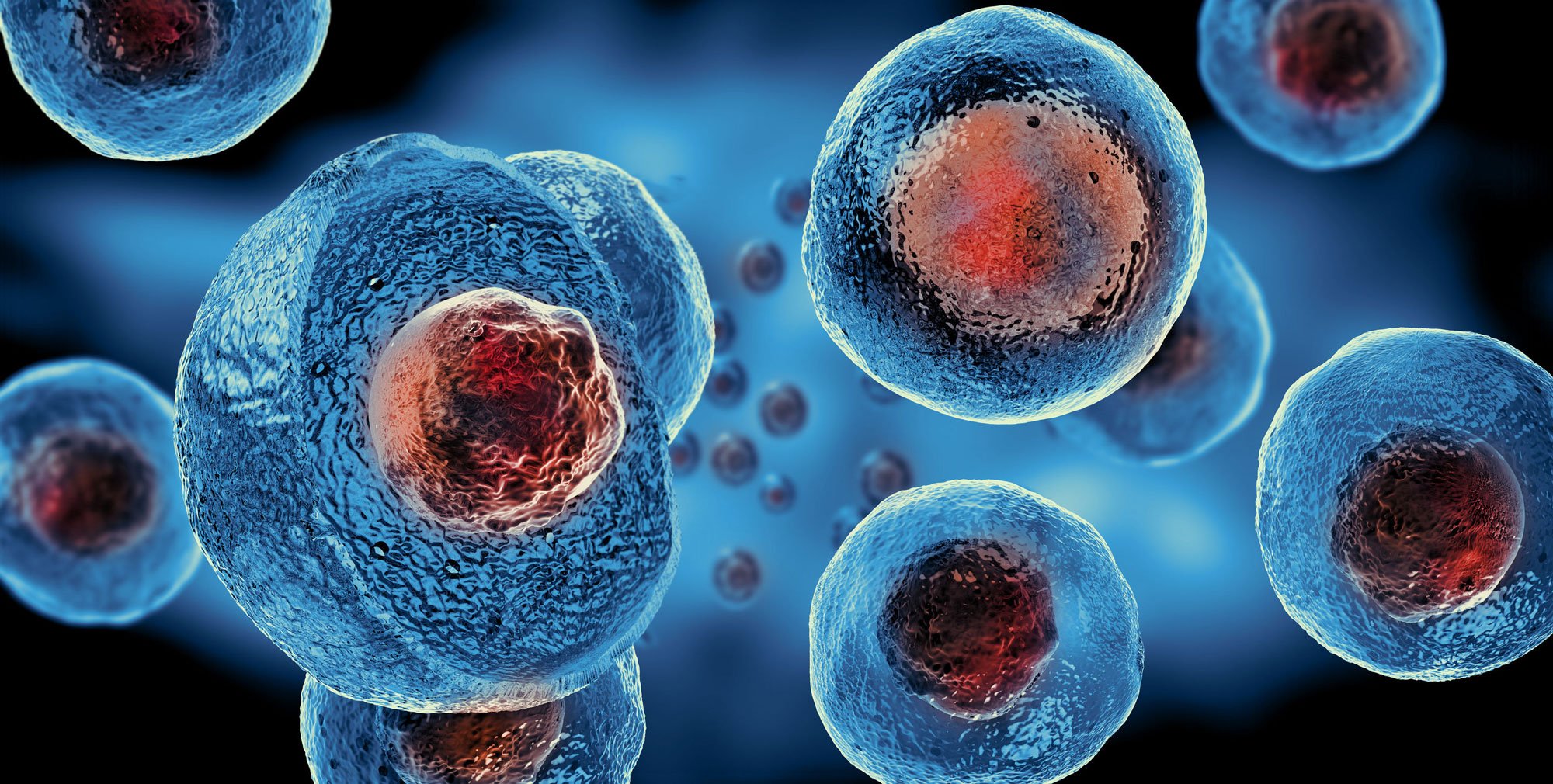 Unlocking the Potential: Why Are Stem Cells Being Called 'The Future of Medicine'?