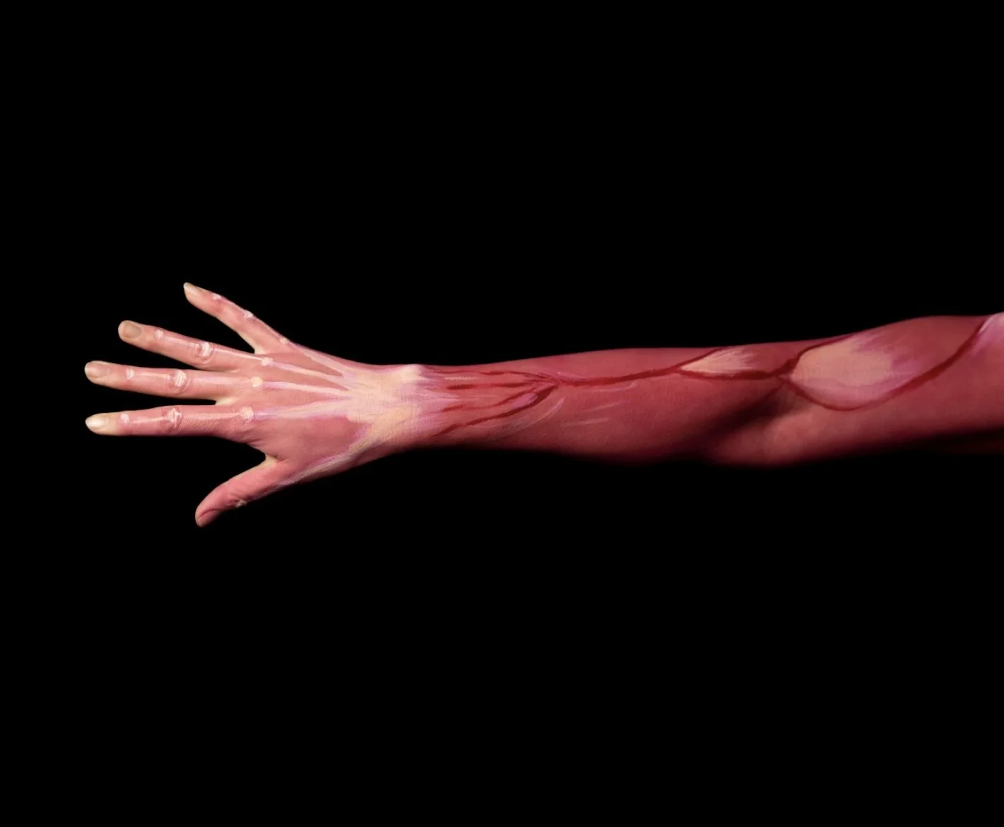 Rejuvenating Muscles &amp; Tendons: Exploring the Benefits of Stem Cell Therapy