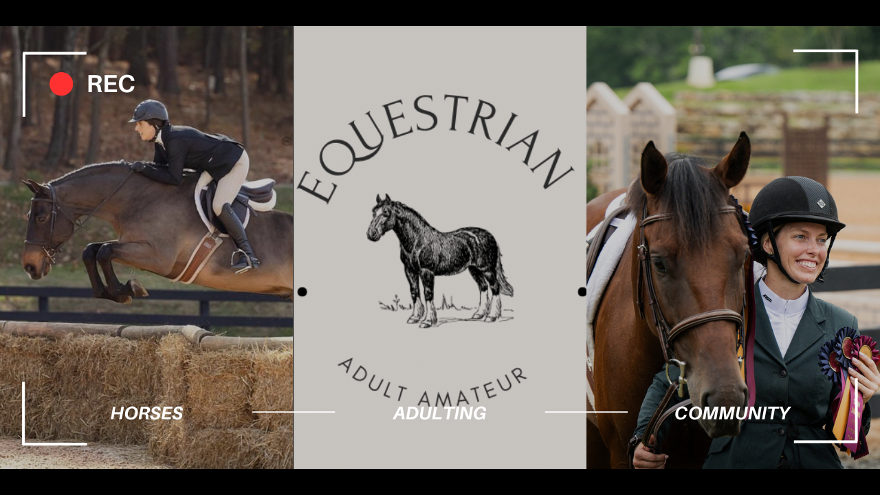 Equestrian Adult Amateur 