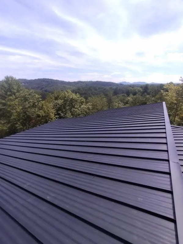 Close-up of a dark metal roof with a scenic view of a forested landscape and blue sky in the background.