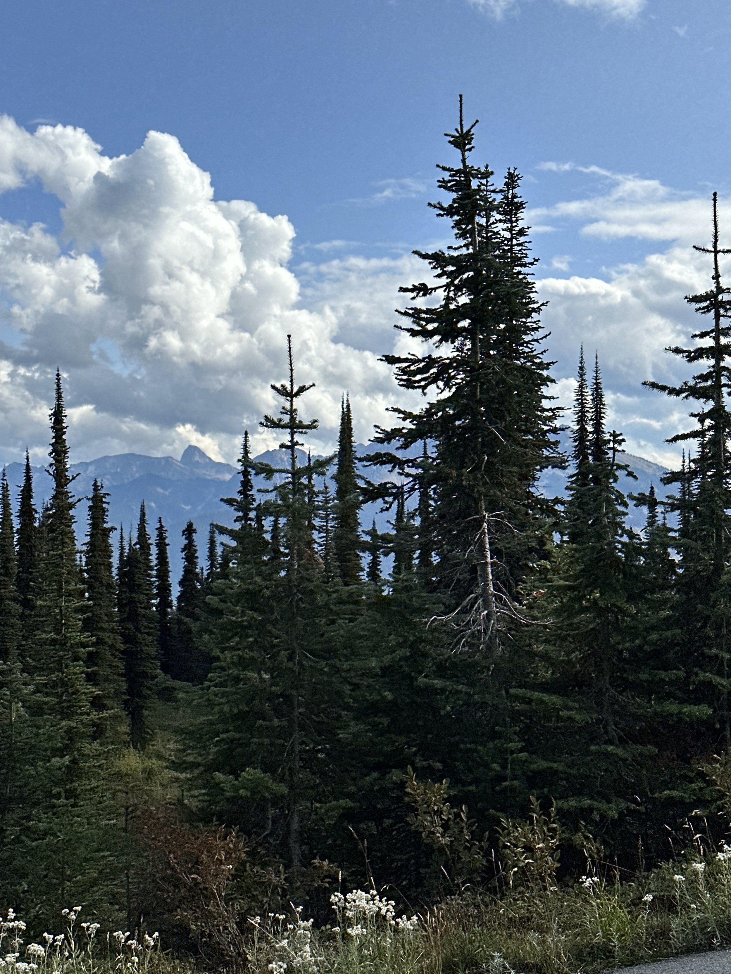 DJI_20230906_150342_631.jpeg