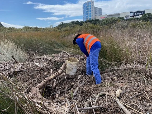 Sunnynook Catchment Recovery