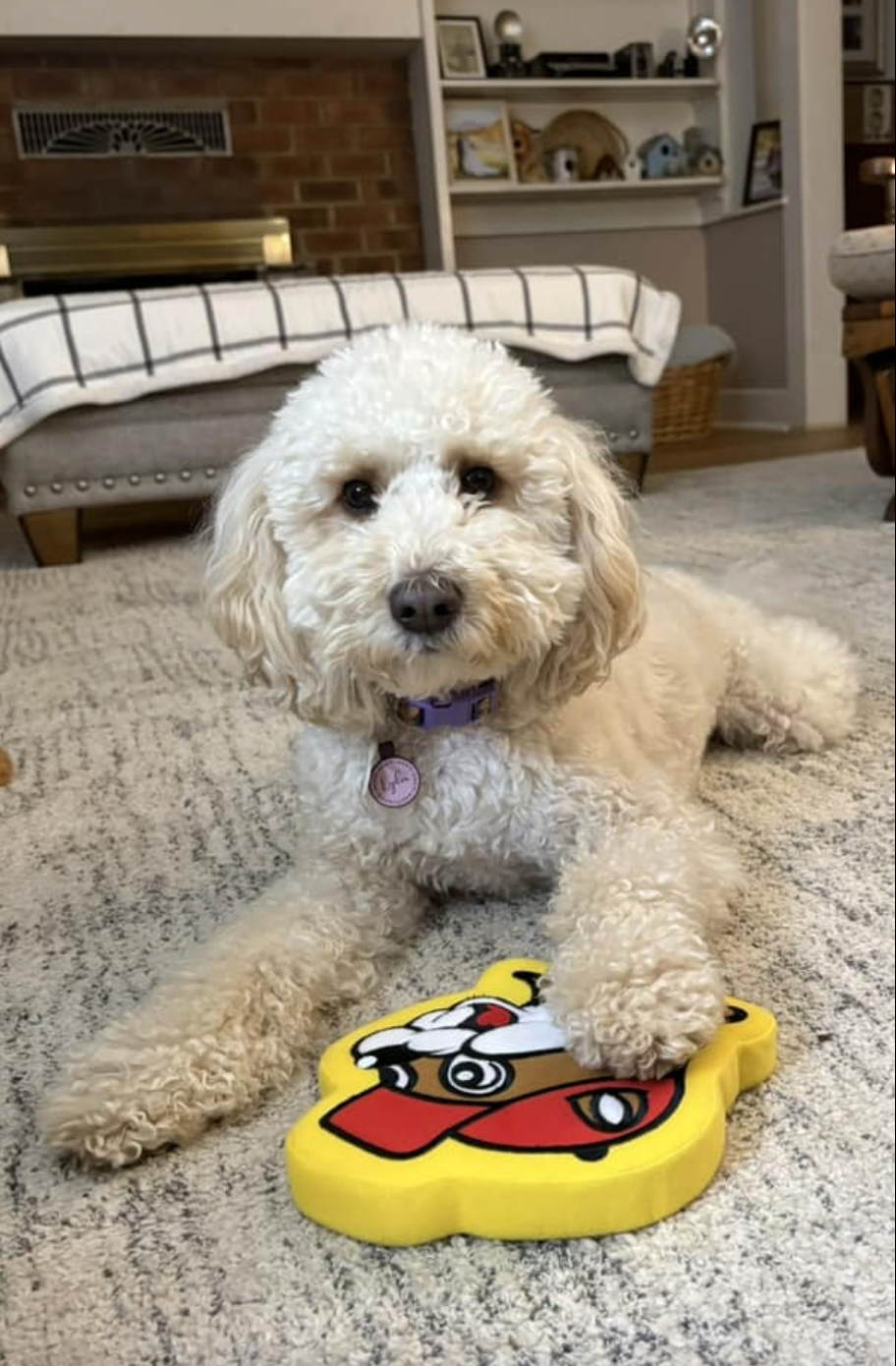 "Lyla is a sweetheart and a perfect fit for us!!!"