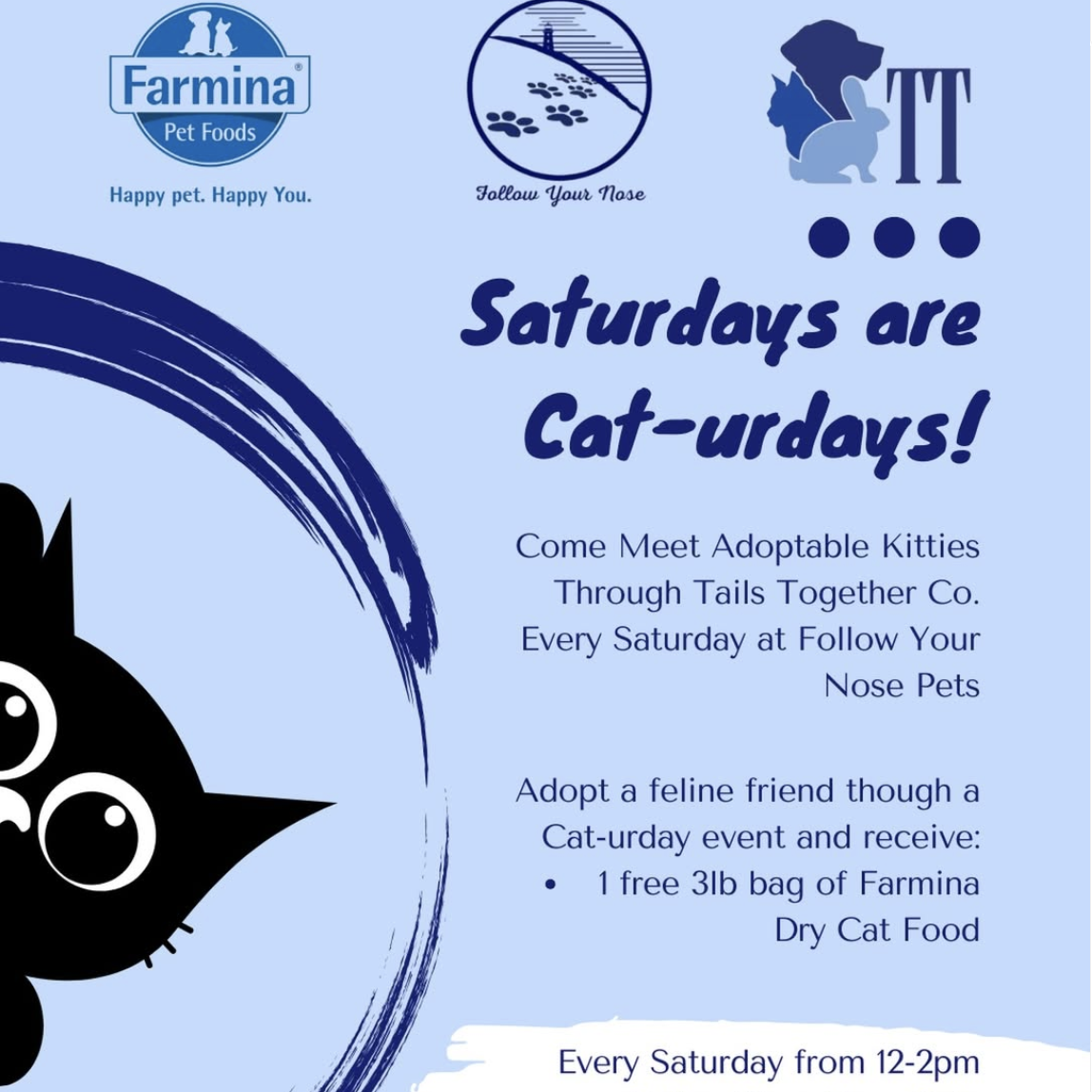 Caturday Saturday