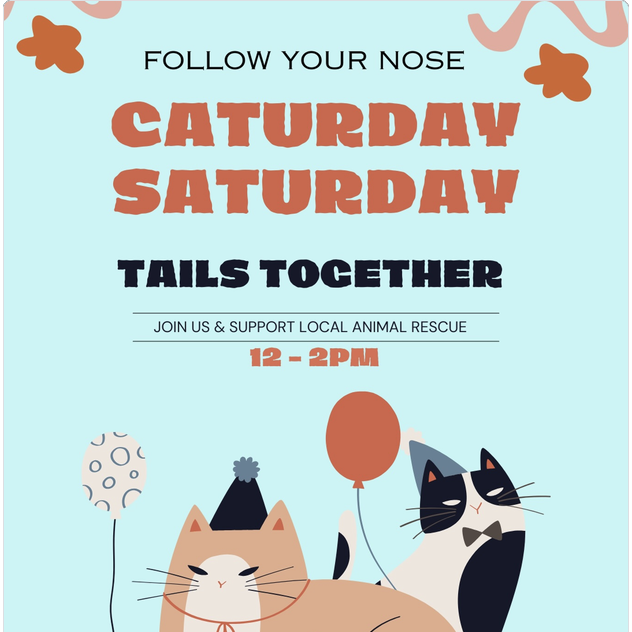 Caturday Saturday