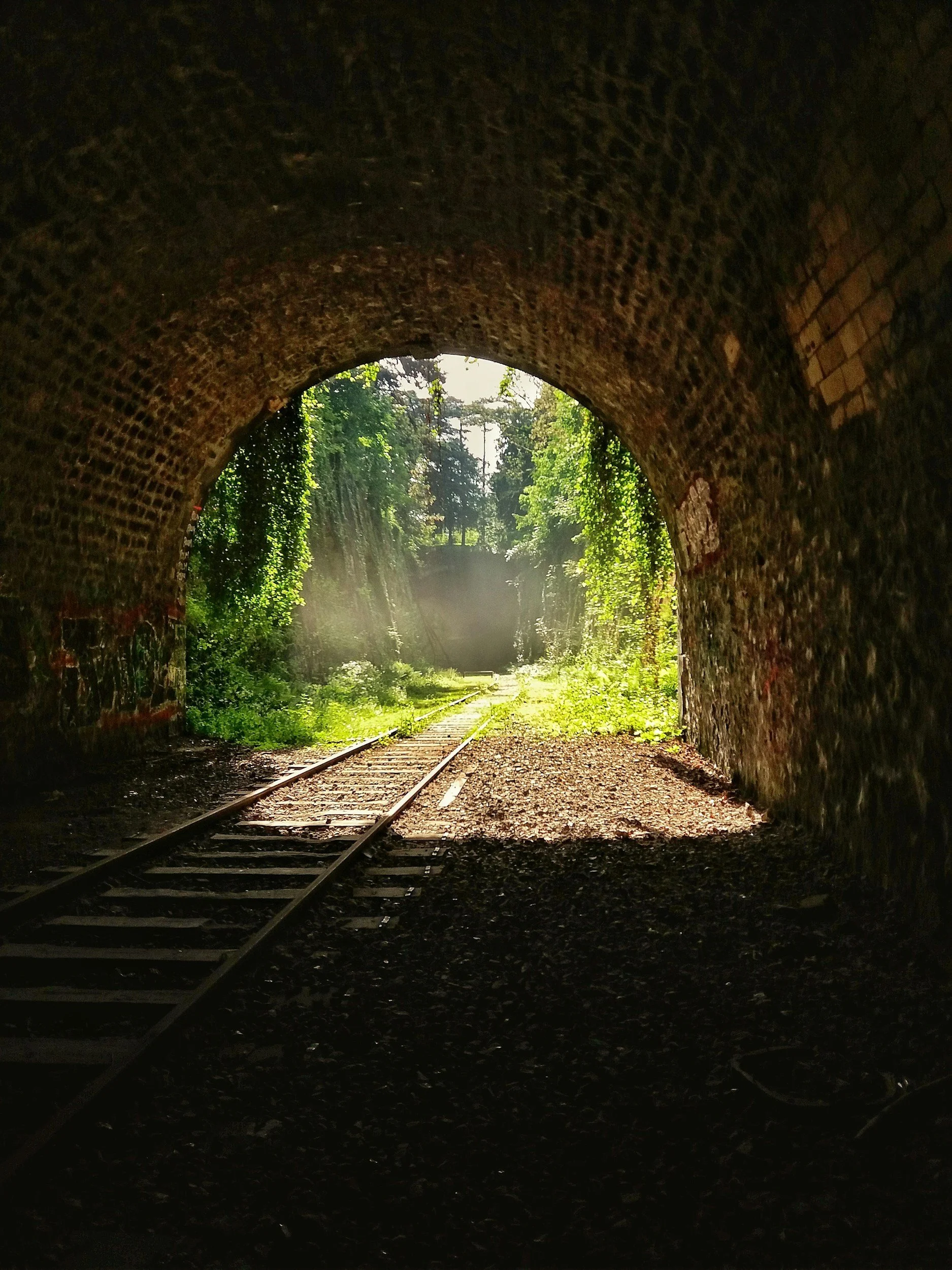 Into the Dark:
