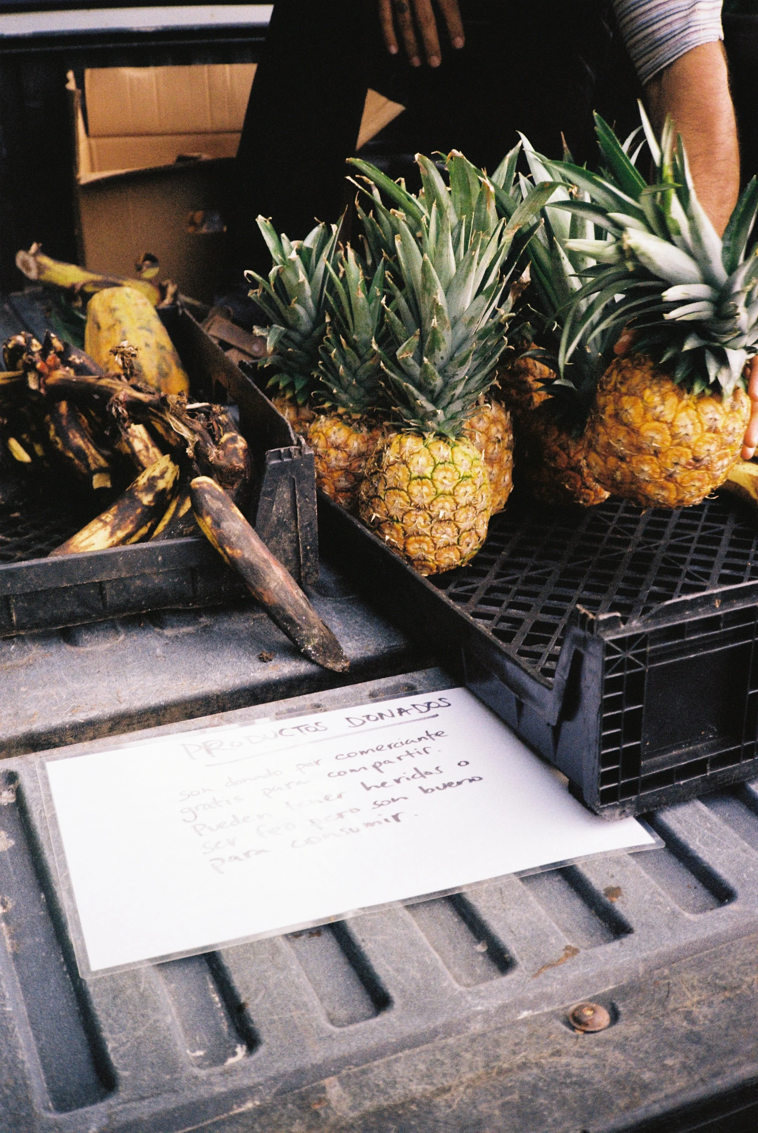 Black plastic harvesting tray with pineapples and ripe bananas are photographed in the back of the truck.