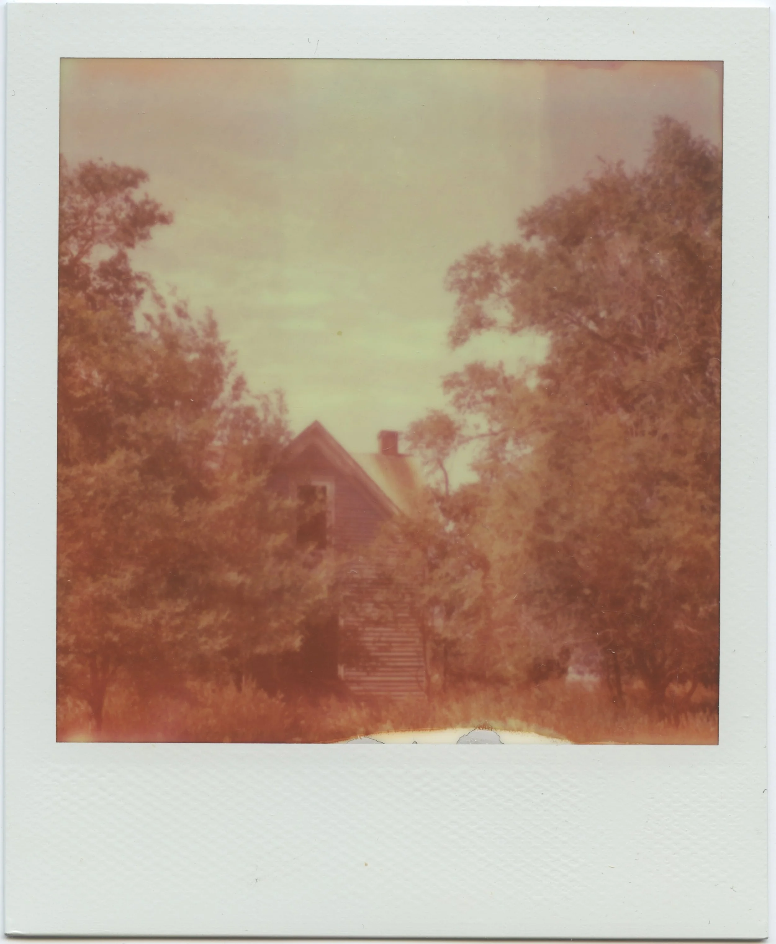a polaroid of an abandoned farmhouse, peaking out from behind some trees. The house was painted blue, although the polaroid has made it appear orange.