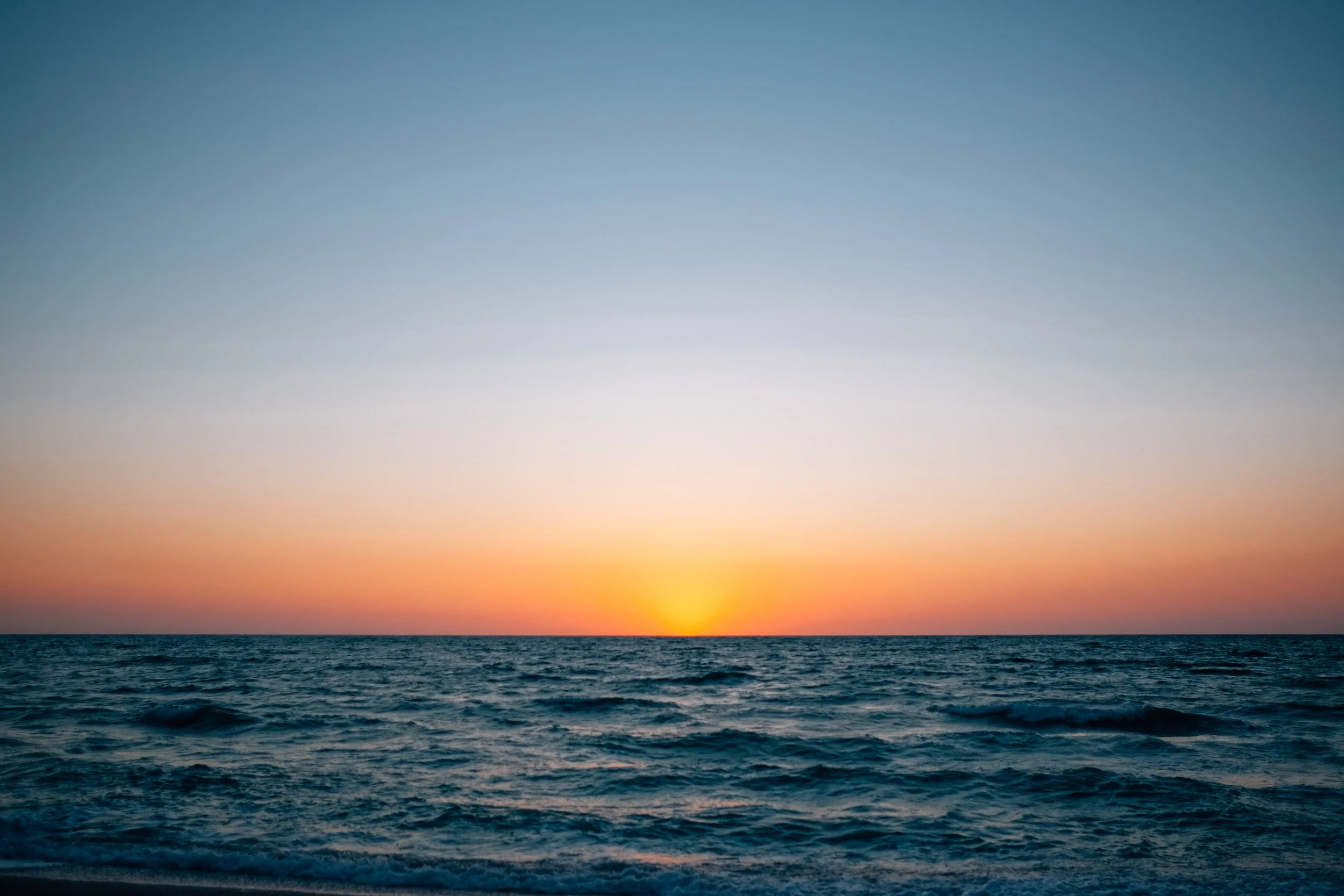 DSCF7800.jpg
