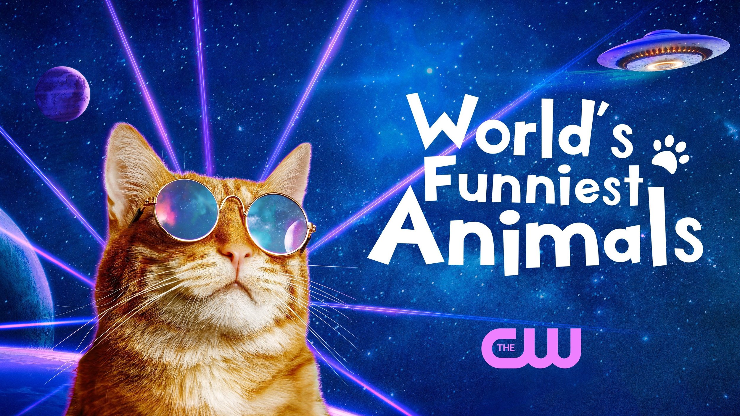 WORLD'S FUNNIEST ANIMALS DESIGNED FOR THE CW
