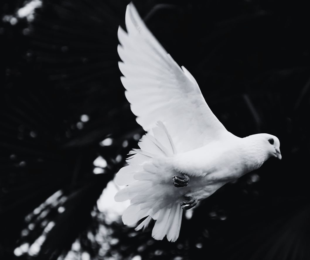 Longing + reaching for freedom