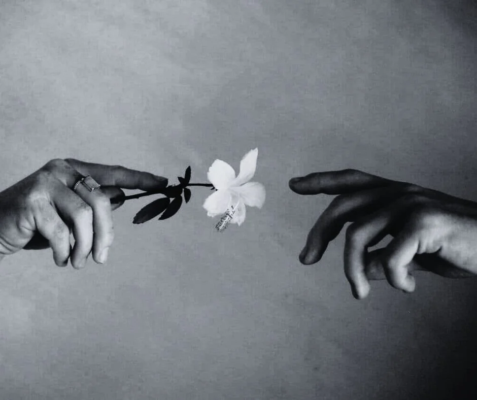 The message + ministry of reconciliation