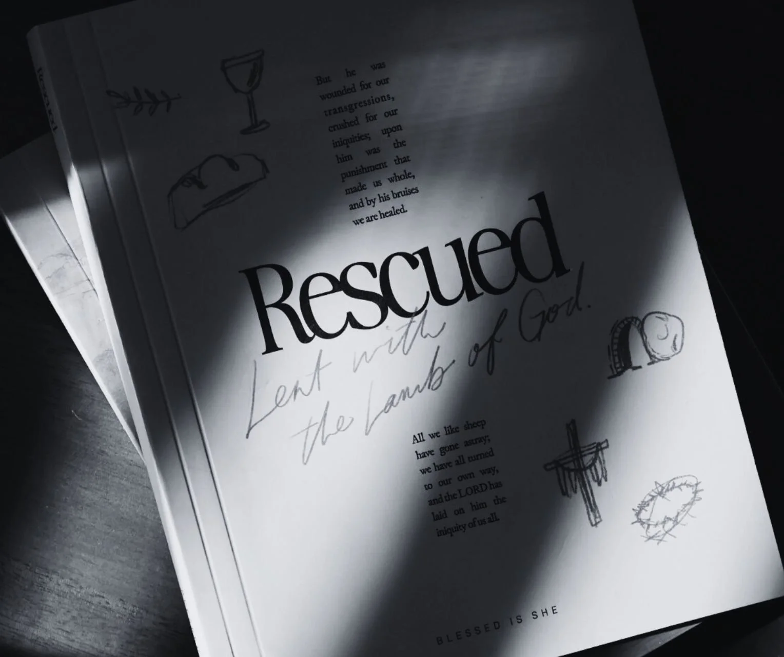 my 5 favorite Bible studies for women