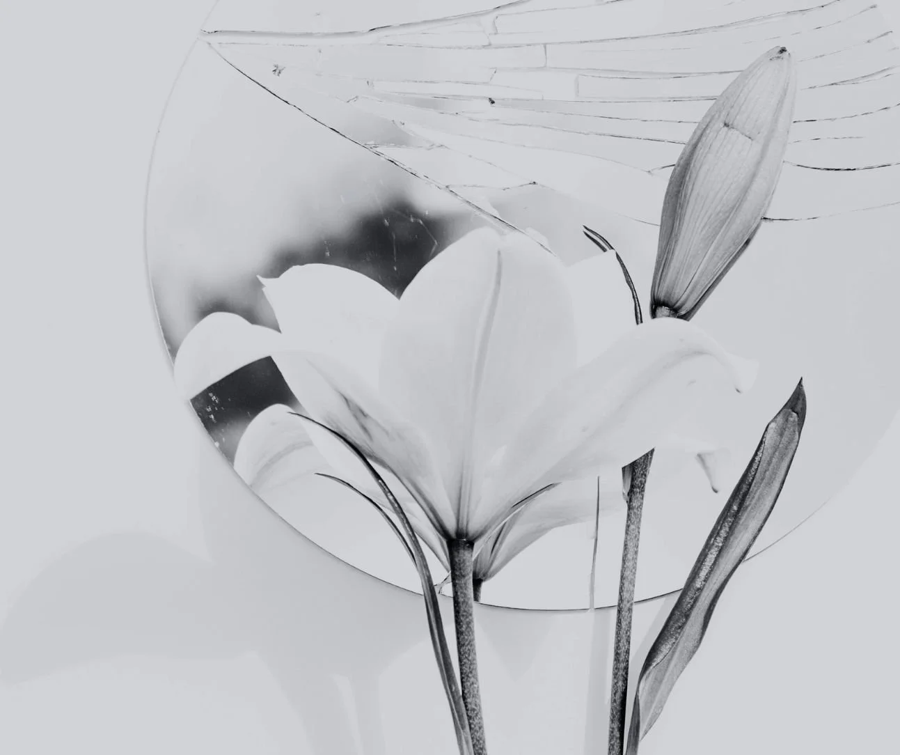 7 biblical affirmations to prepare your heart for a hard conversation