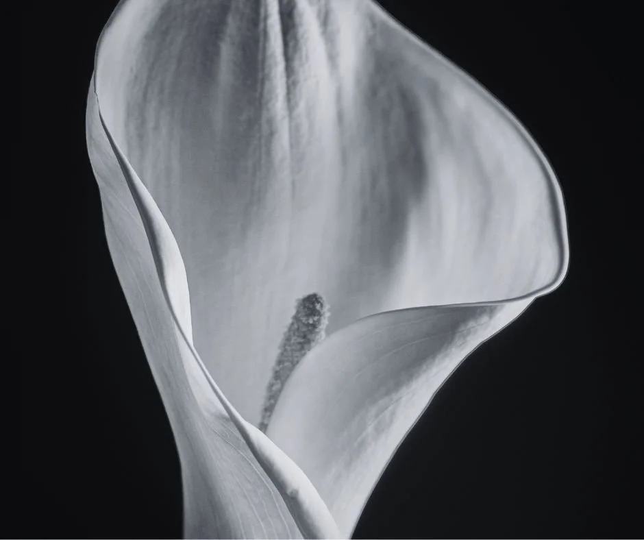 7 biblical affirmations to prepare your heart for a hard conversation