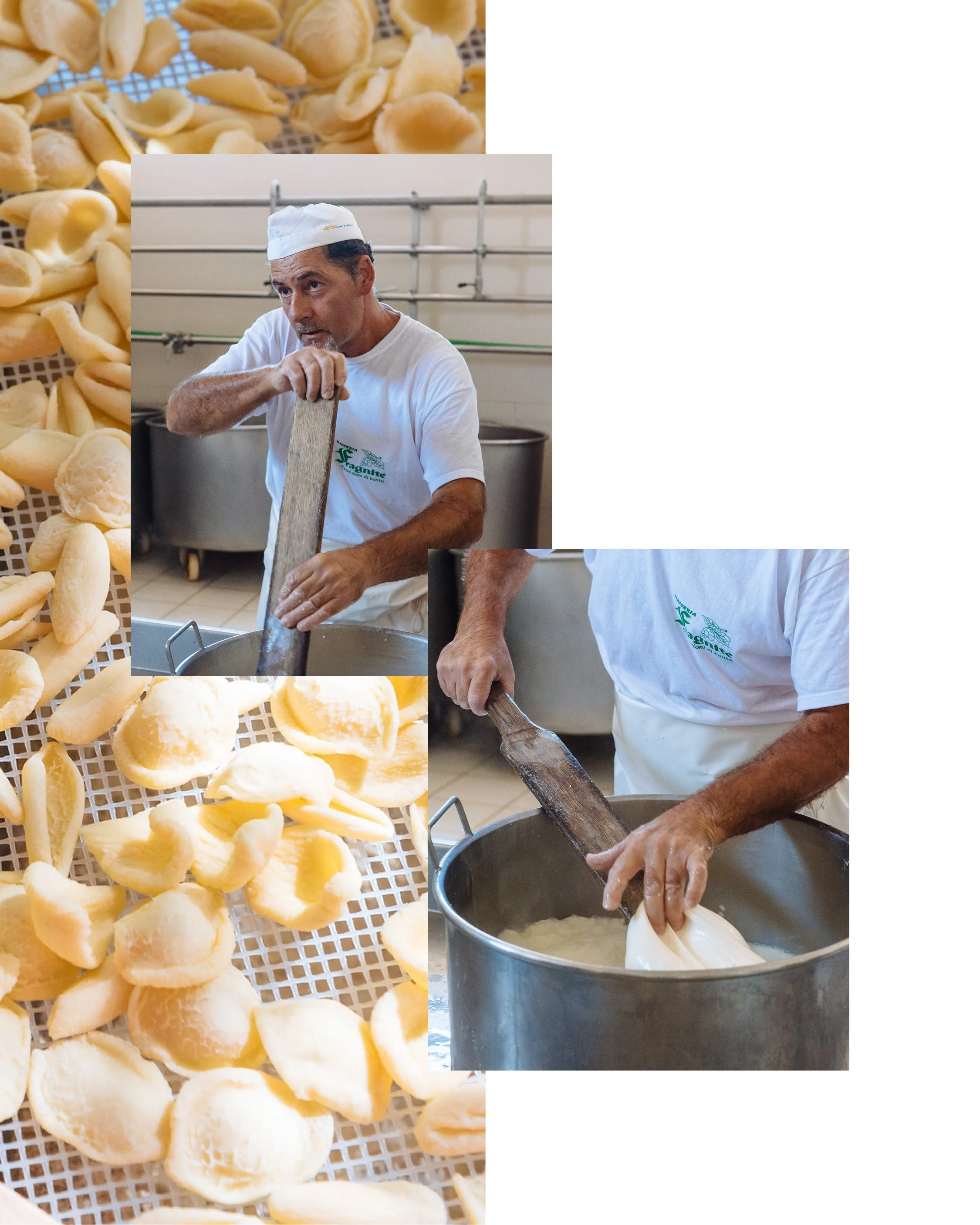 COW DRAFT_Slider4.jpg