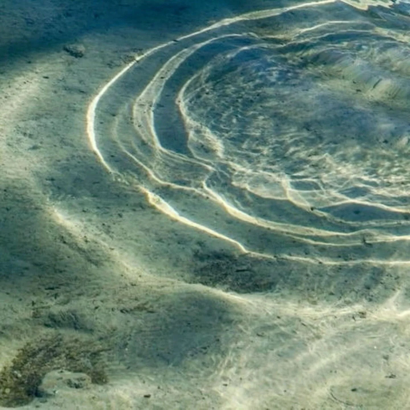 The Water Gathering