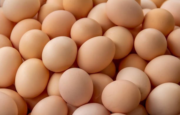 eggs copy 2.jpeg