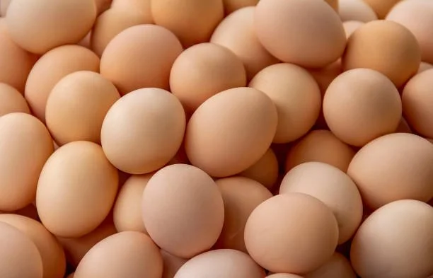 Winter  Egg Share 2025 for Centre Wellington Area