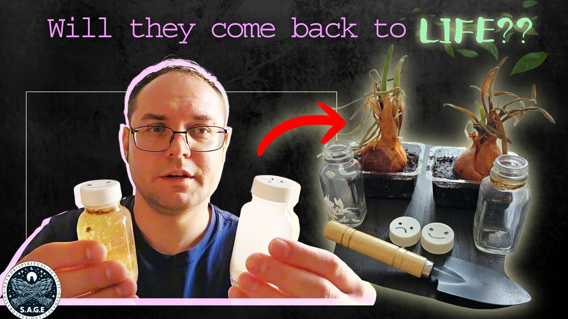 I poured the two jars from the S.A.G.E. water experiment into soil with two dying sprouted onions 🌱🧅 Will they come back to life? Let&rsquo;s find out!

#SAGE #waterexperiment #spirituality #energywork #plantgrowth #mindfulness #spiritek
