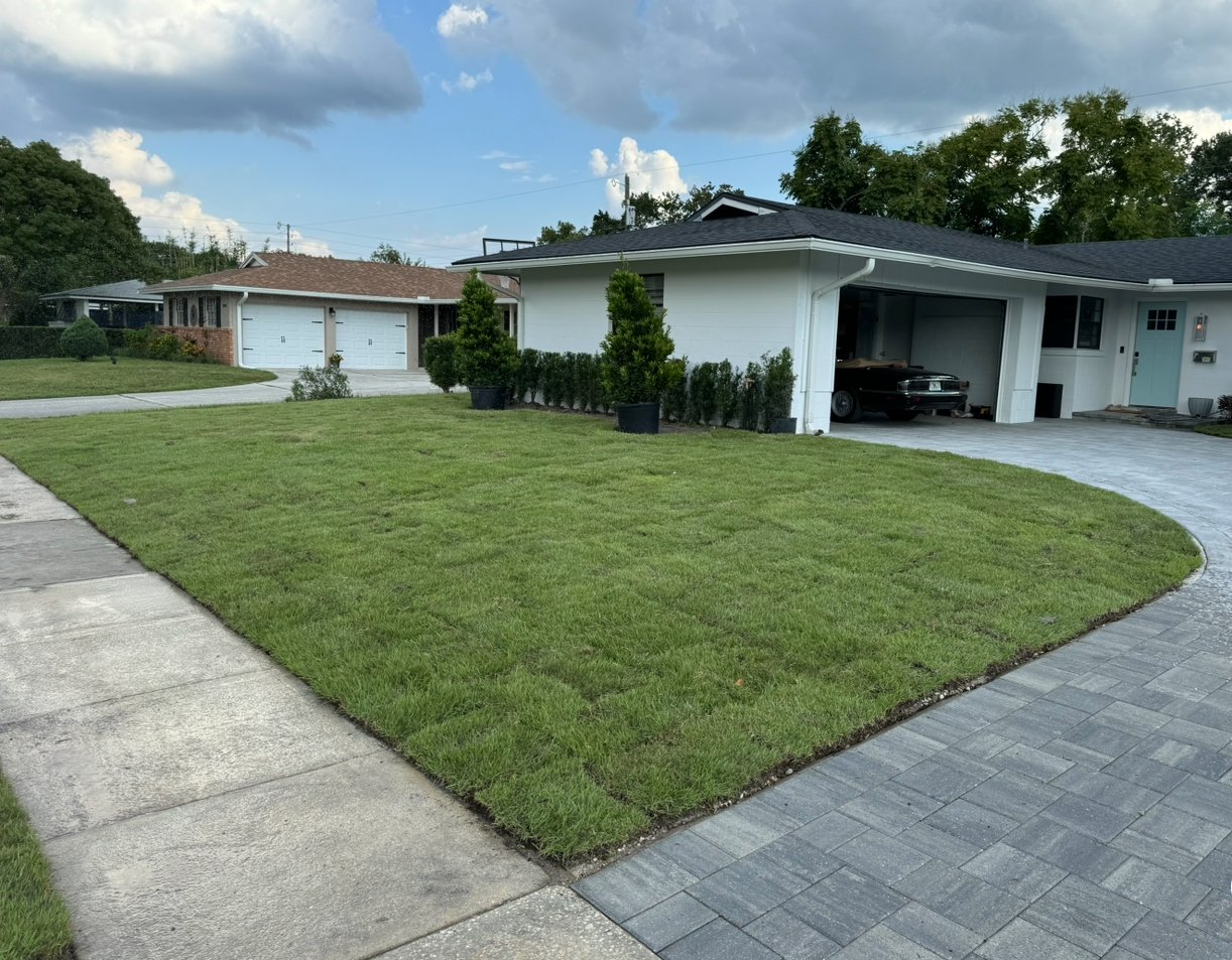 Orlando Grass and Turf