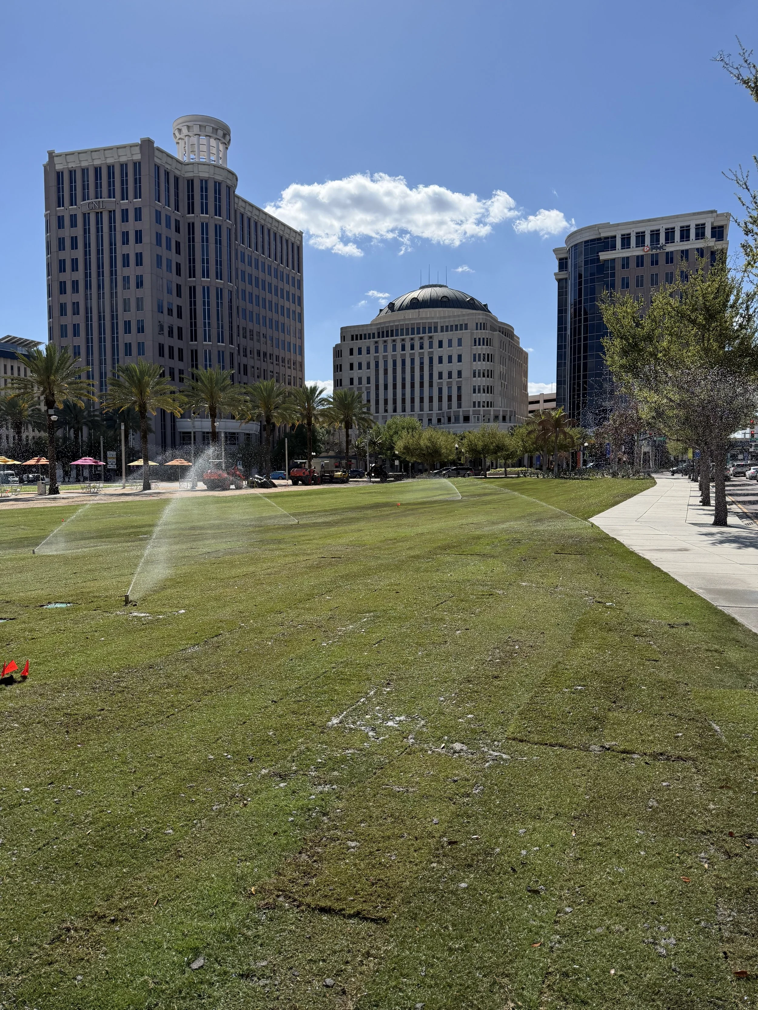 DR. PHILLIPS PERFROMANCE ARTS SOD Upgrade