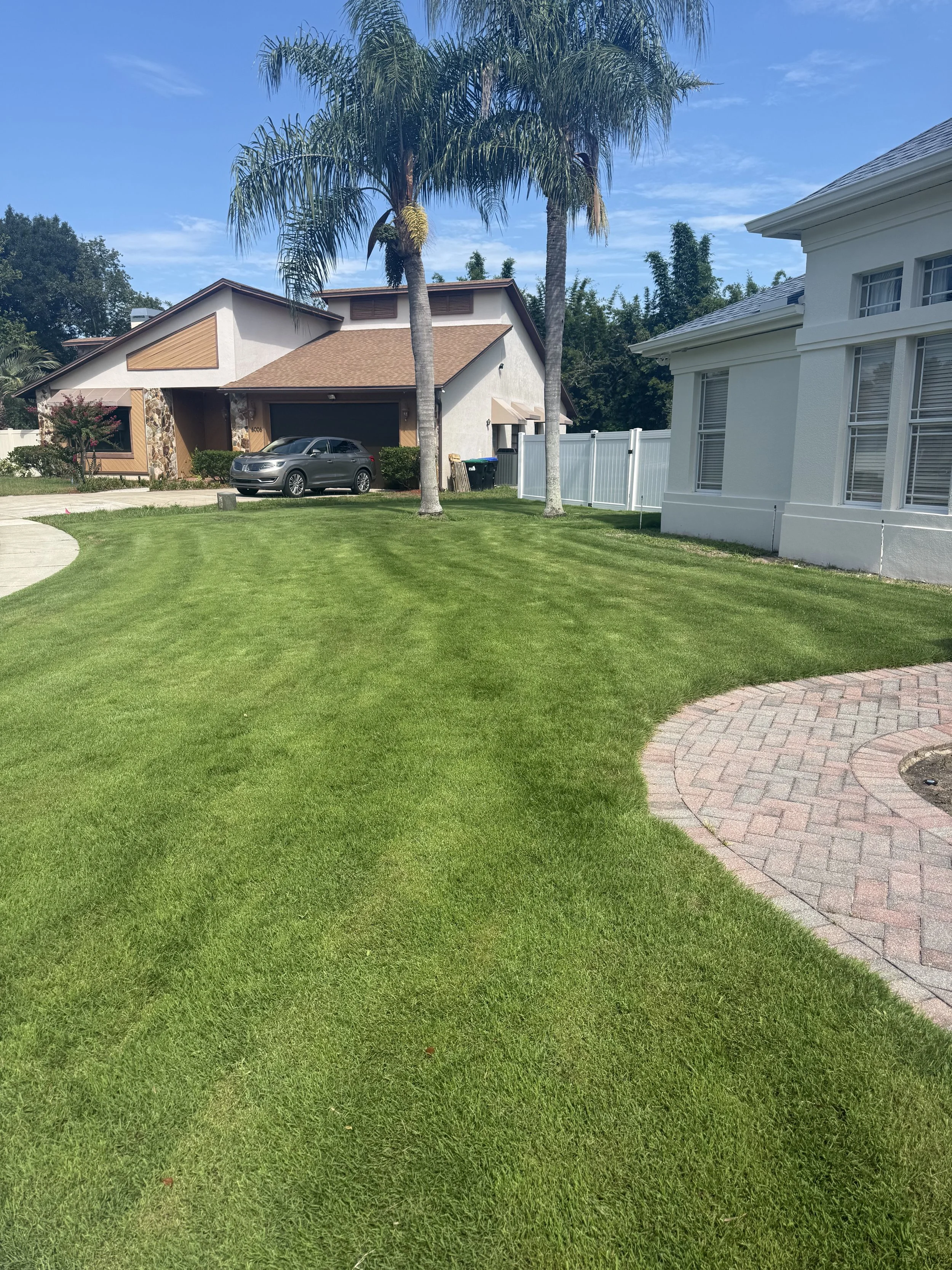 Farm Fresh CitraZoy Zoysia Orlando, Florida