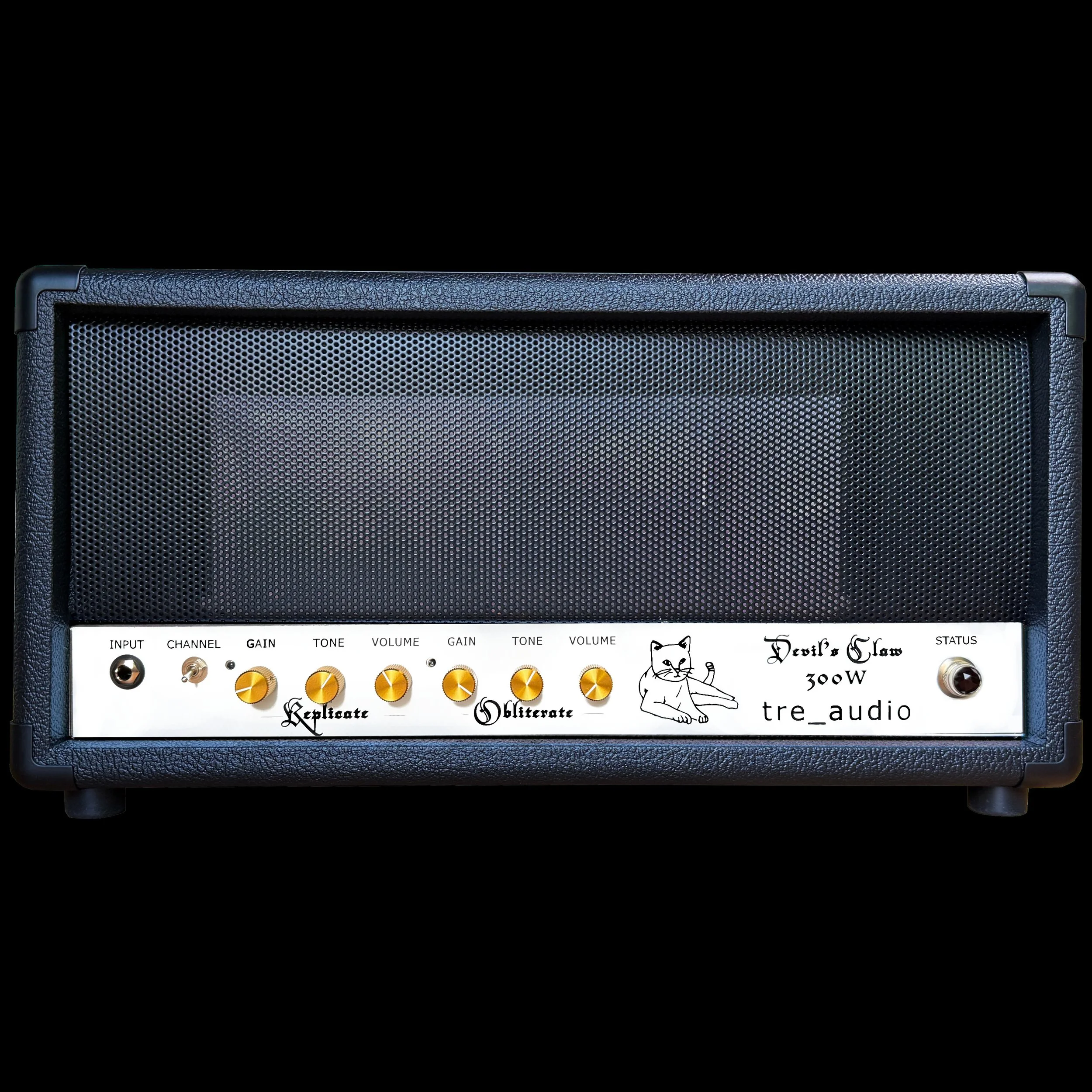 How to Choose Your First Guitar Amplifier