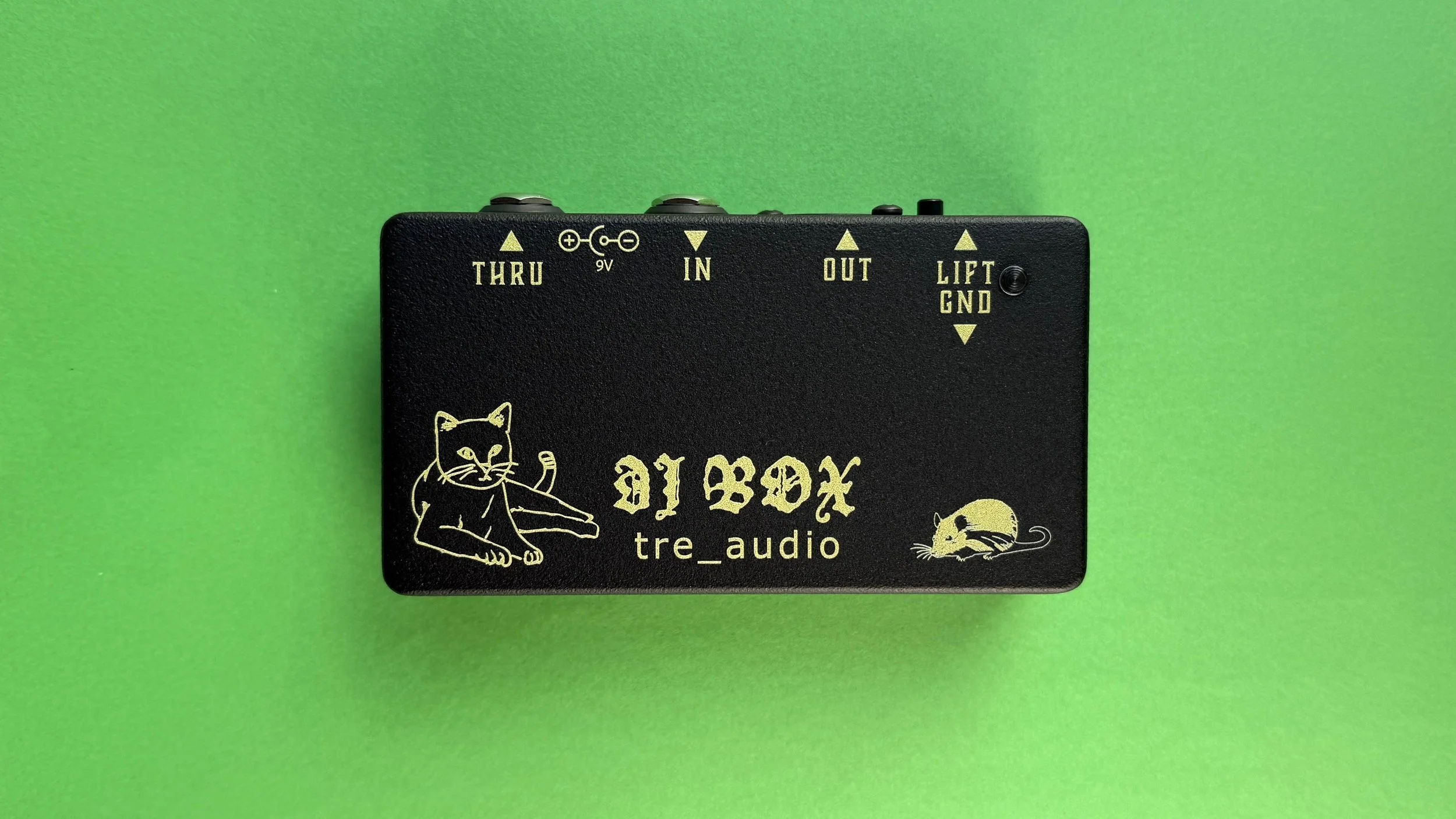 DI-BOX Horizontal - green paper (4).jpg