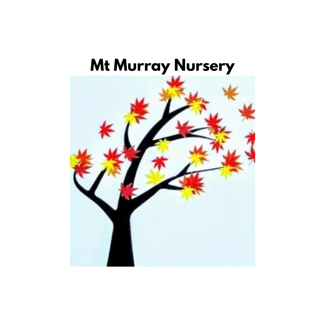 Mt Murray Nursery Logo.png