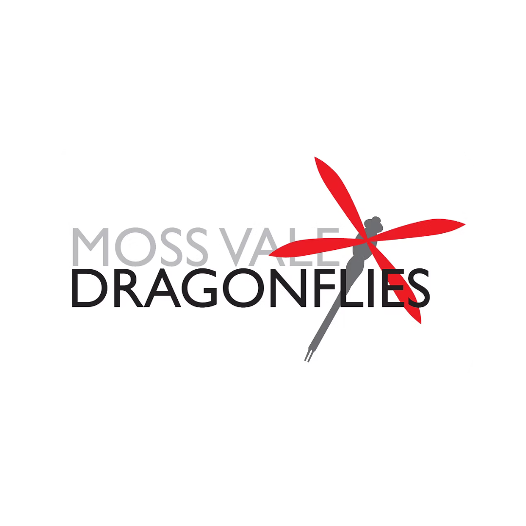 Moss Vale Dragon Flies Logo.png