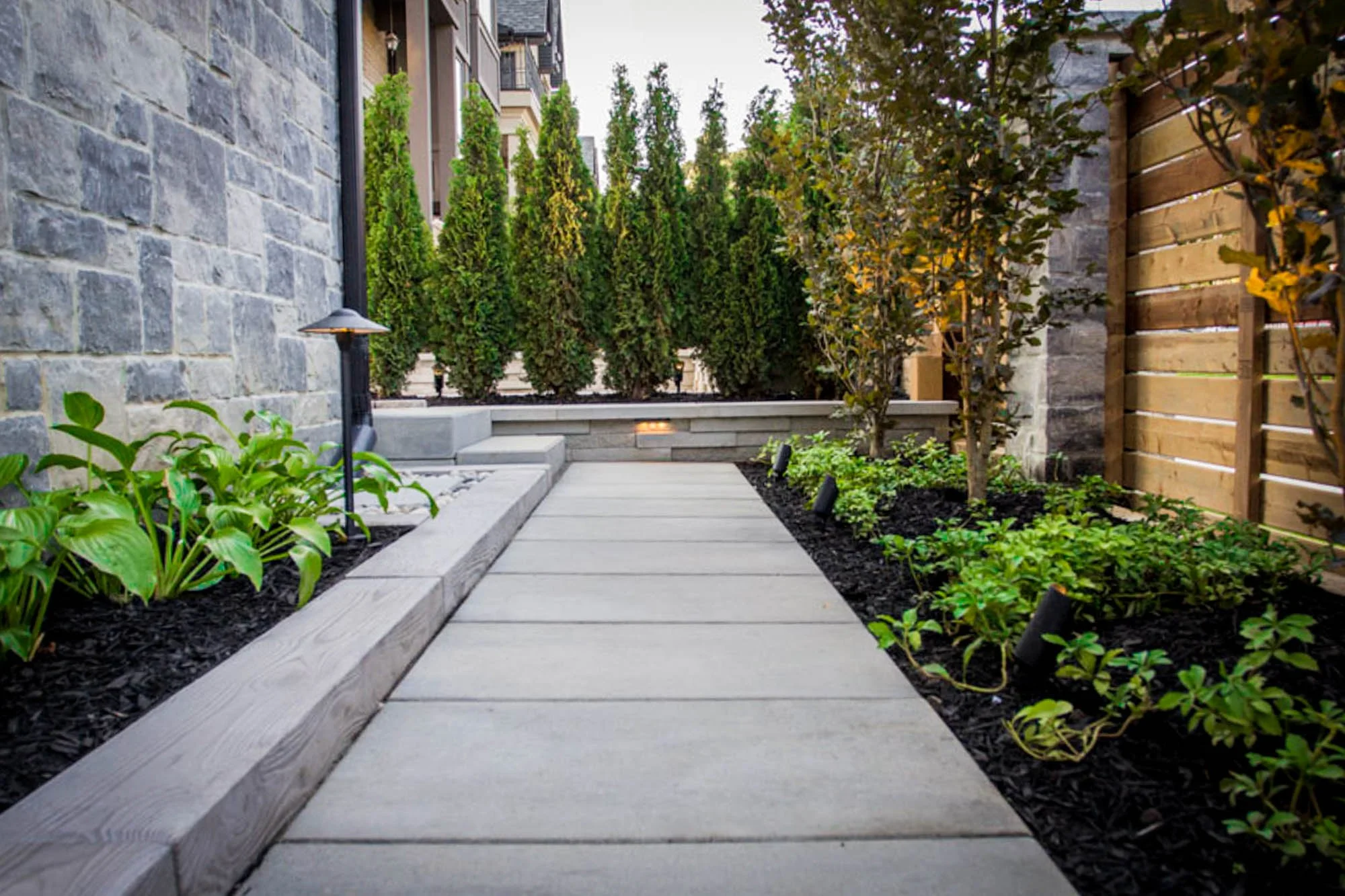 A modern backyard garden with a concrete pathway, lush green plants, small trees, outdoor lights, and a wooden fence.