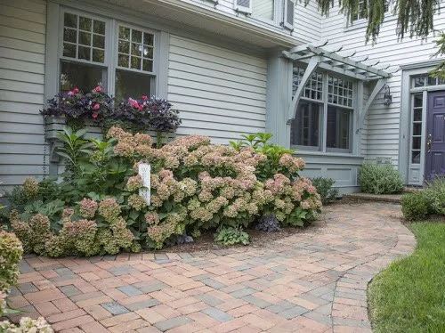 A white house with a flower bed and a brick pathway. The flower bed has pink and purple flowers with lush green foliage. The house has multiple windows and a small porch, with part of a tree hanging over the scene.