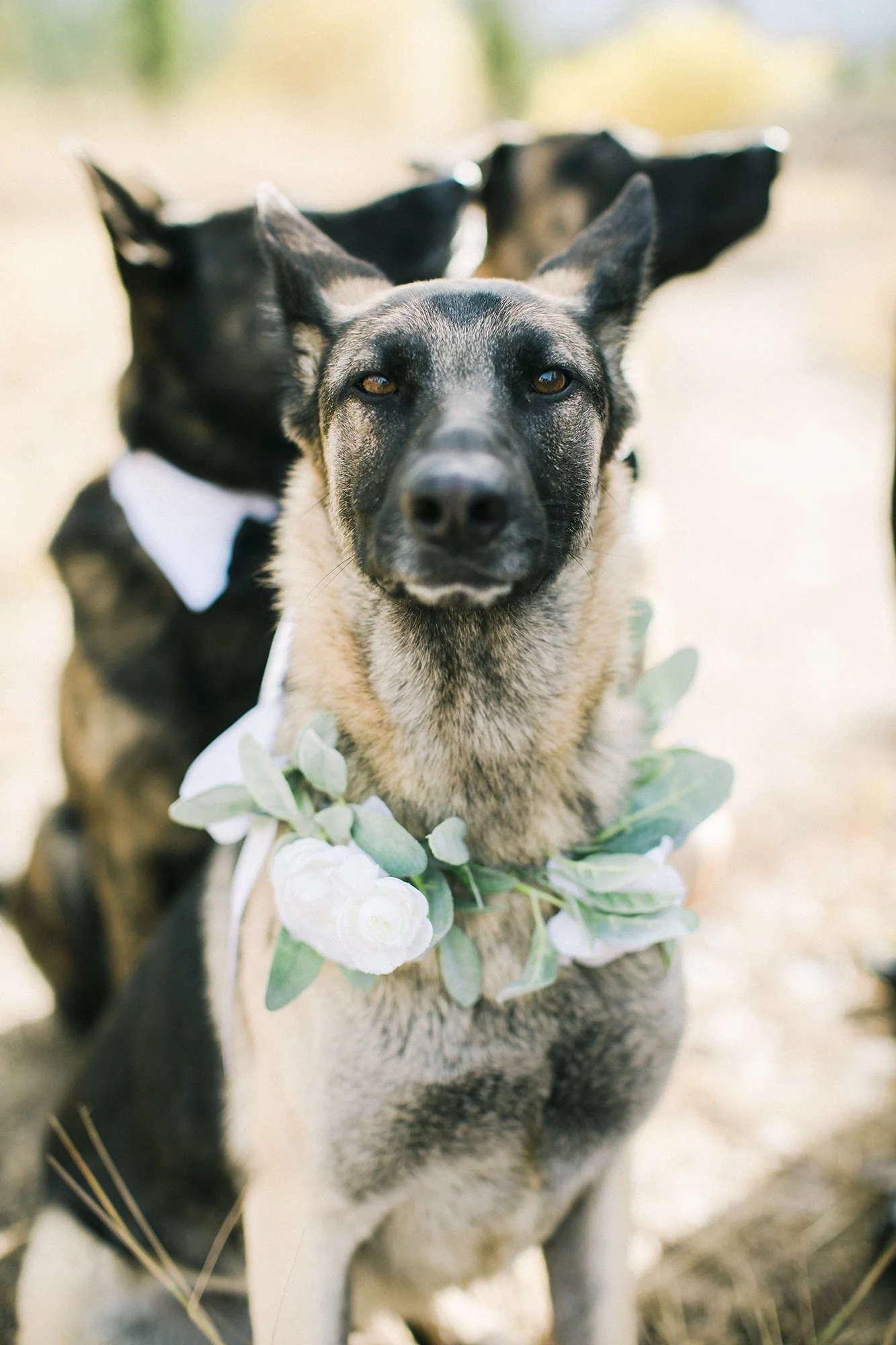 BrooksMcFaddenPhotography-4417.jpg