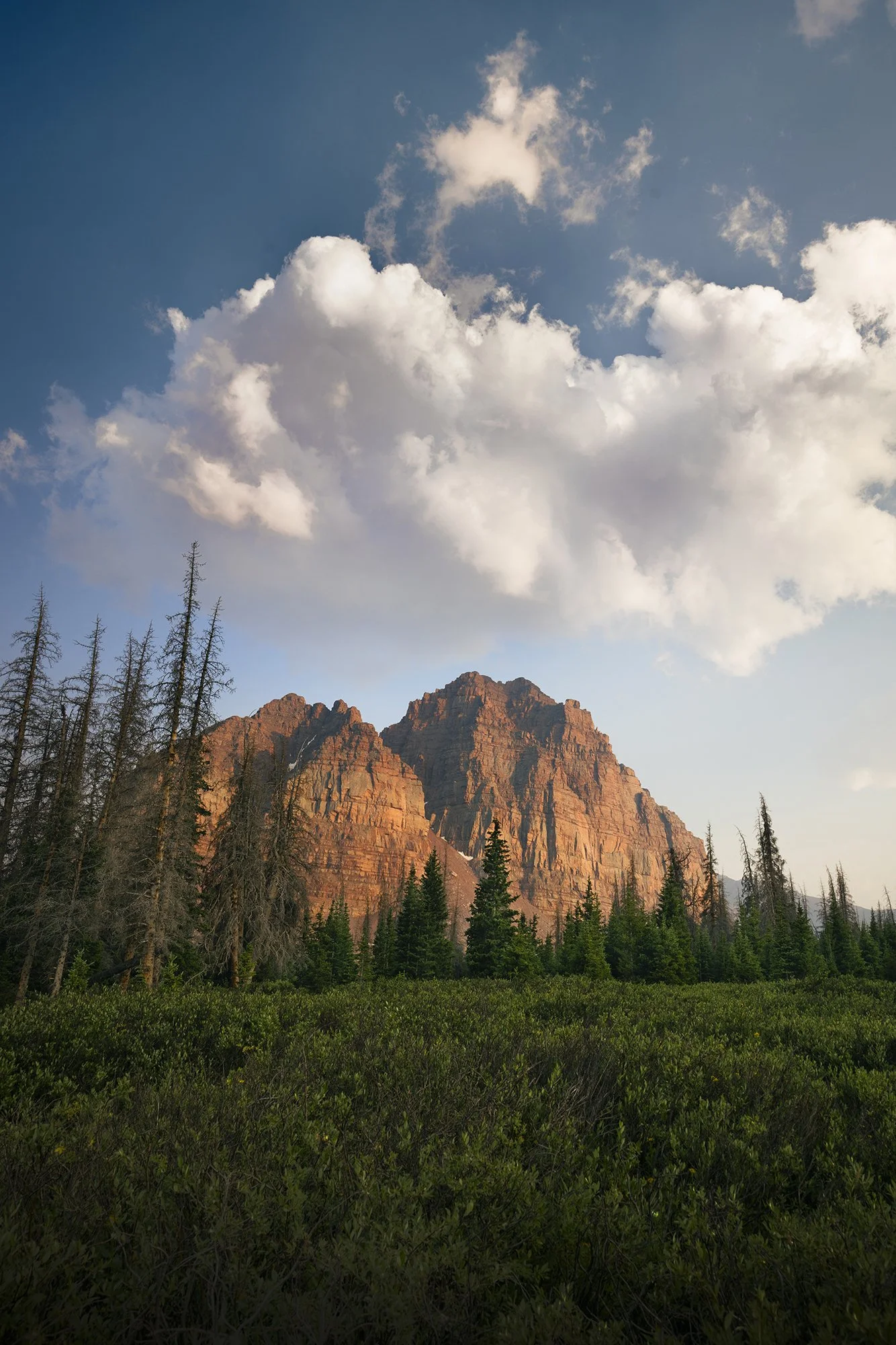 BrooksMcFadden-3201-web.jpg