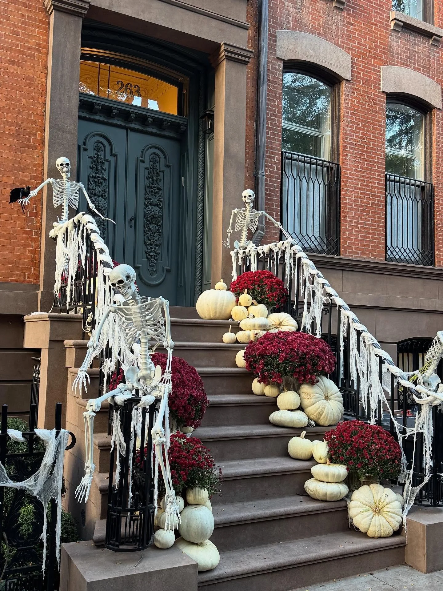 Bits &amp; bobs from october🍷🍂🐈&zwj;⬛