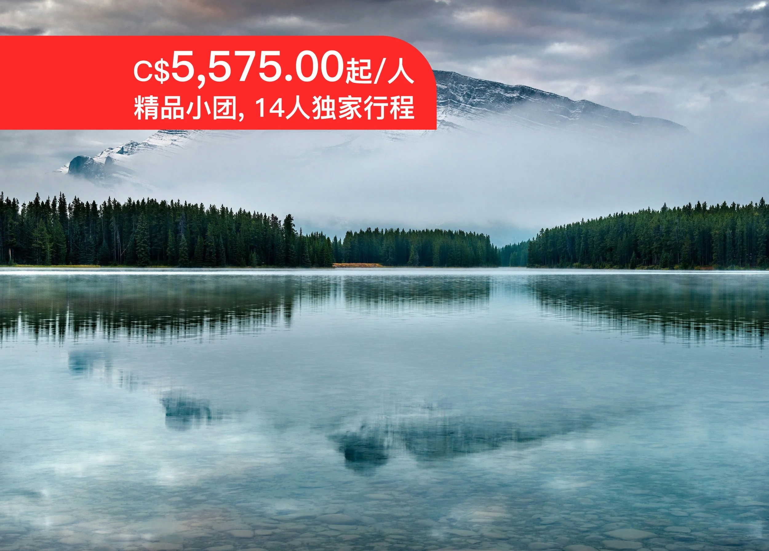 洛杉矶之光.jpg