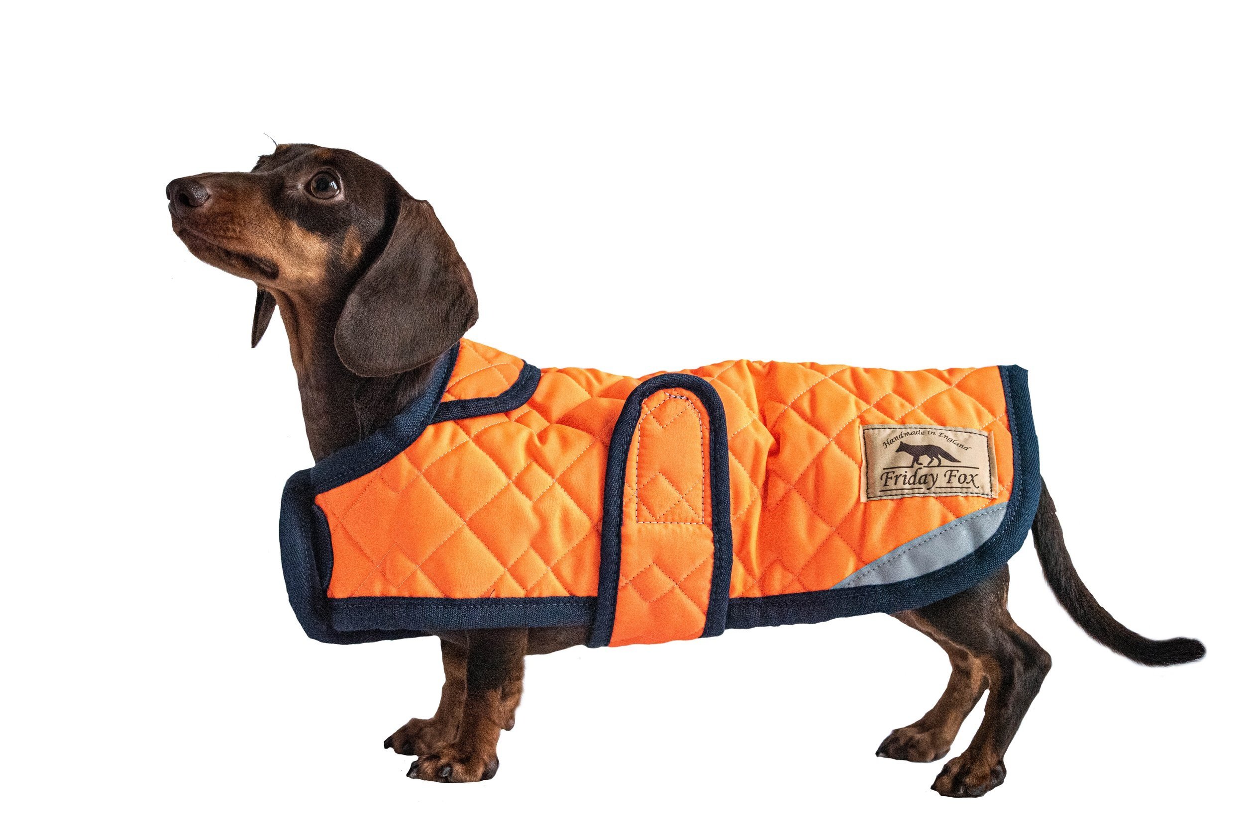 Orange Dachshund Puffer Coat