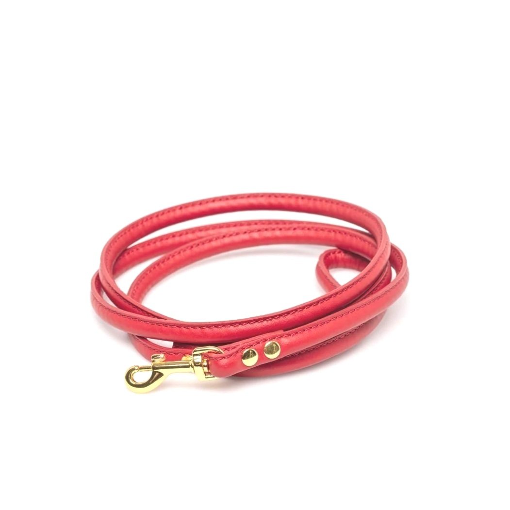 Apple red leather dachshund lead. Matching collar and lead set available. Suitable for miniature dachshunds, standard dachshunds, sausage dogs, daxis, dockers, jack russels and small dogs,