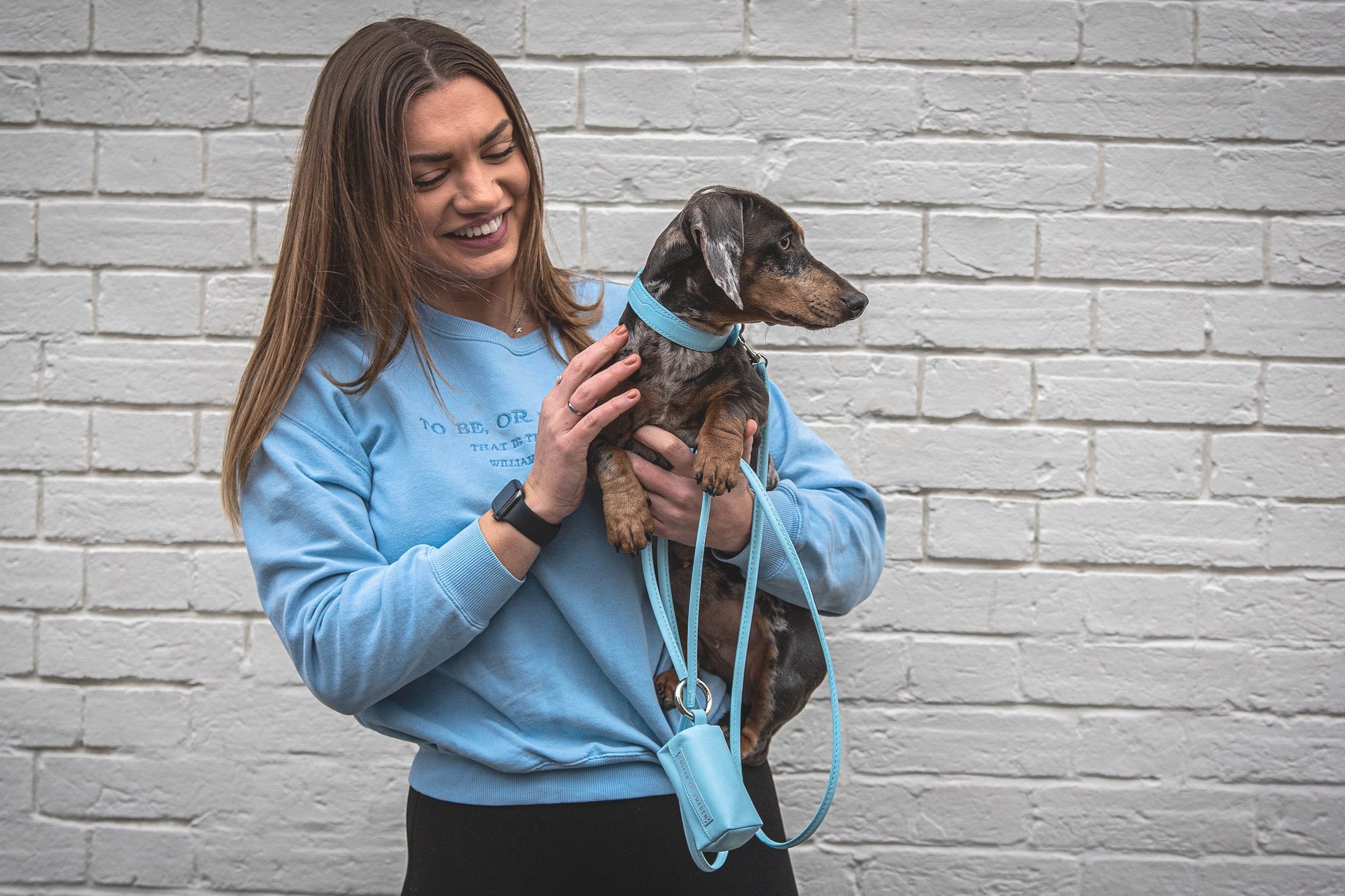 Miniature dachshund wearing baby blue croc print collar and lead matching set, with the baby blue poop bag holder.