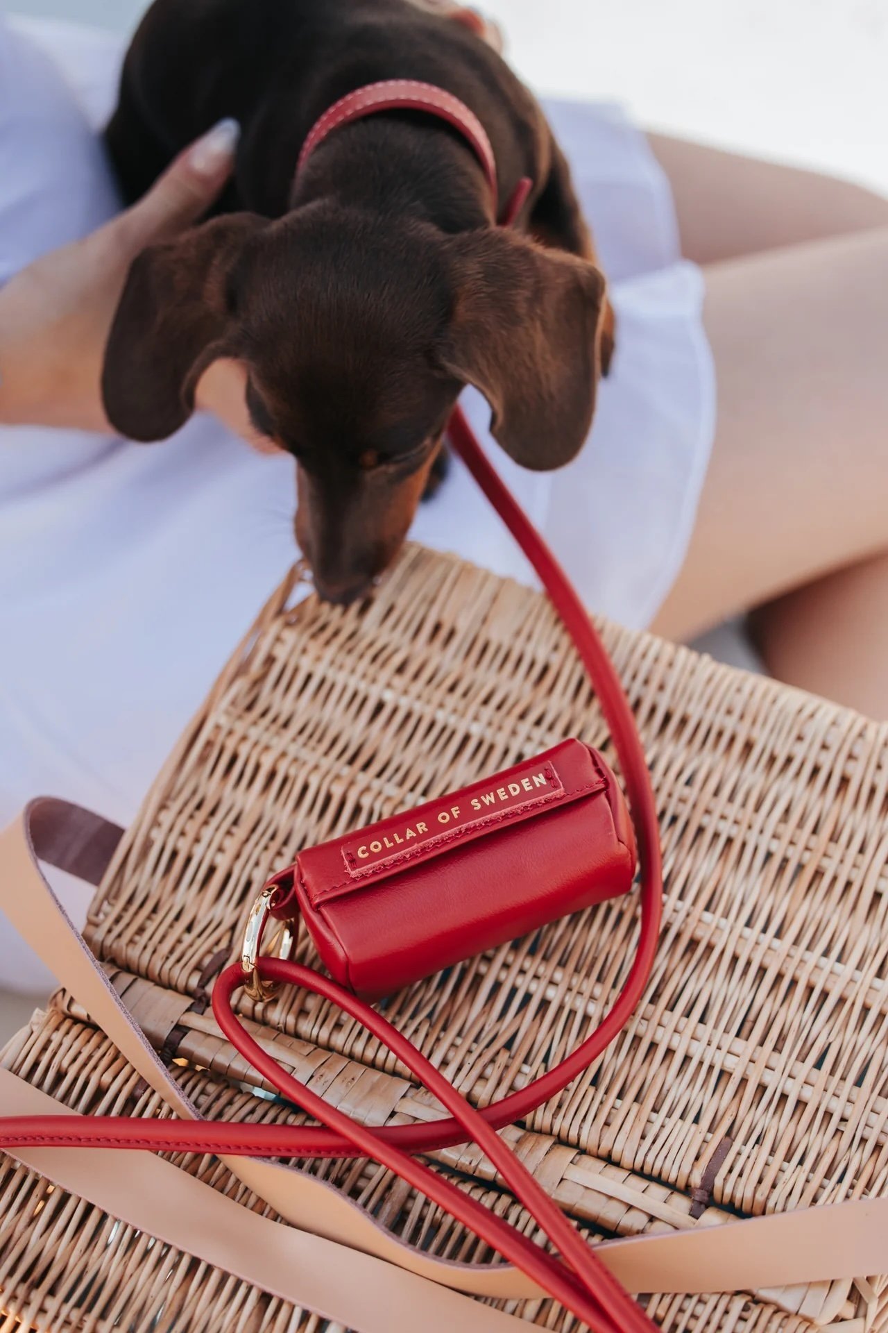 Apple+red+poop+bag+holder+with+matching+lead+and+collar+.jpg