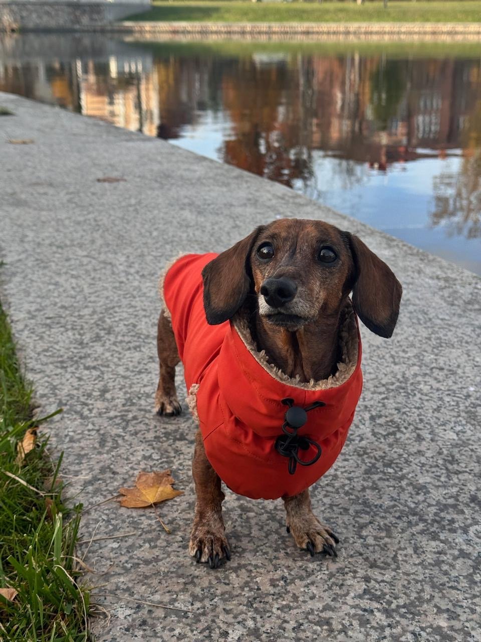 Red Teddy Bear Coat Front View.jpg