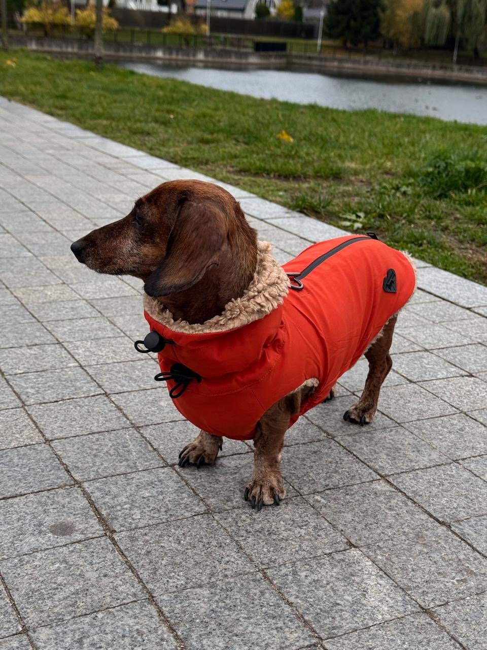 Red Teddy Bear Coat Side View.jpg