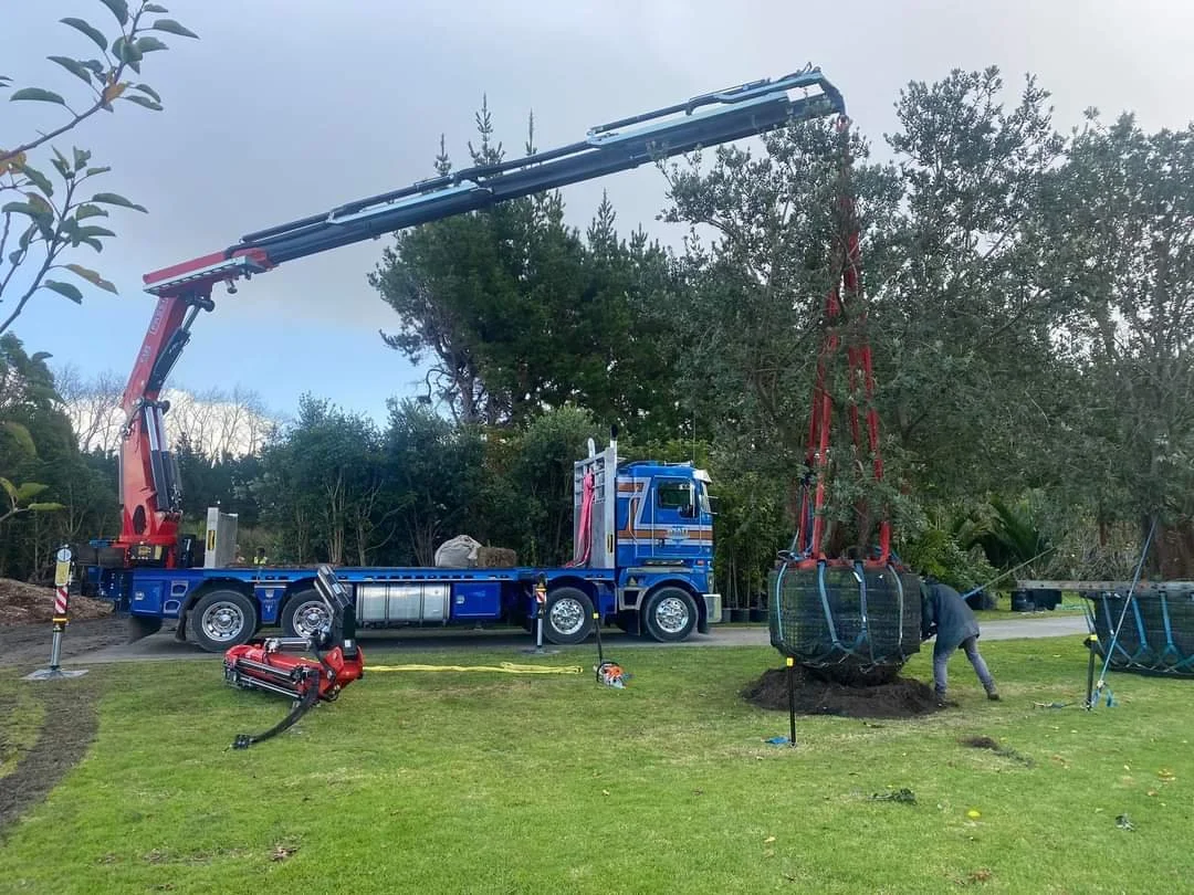 HIAB6.jpg