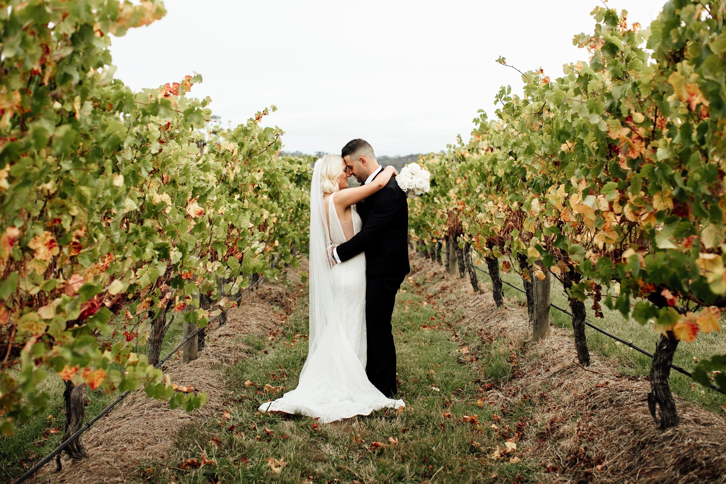 Holly and Mark, Vines of the Yarra Valley, VIC Wedding