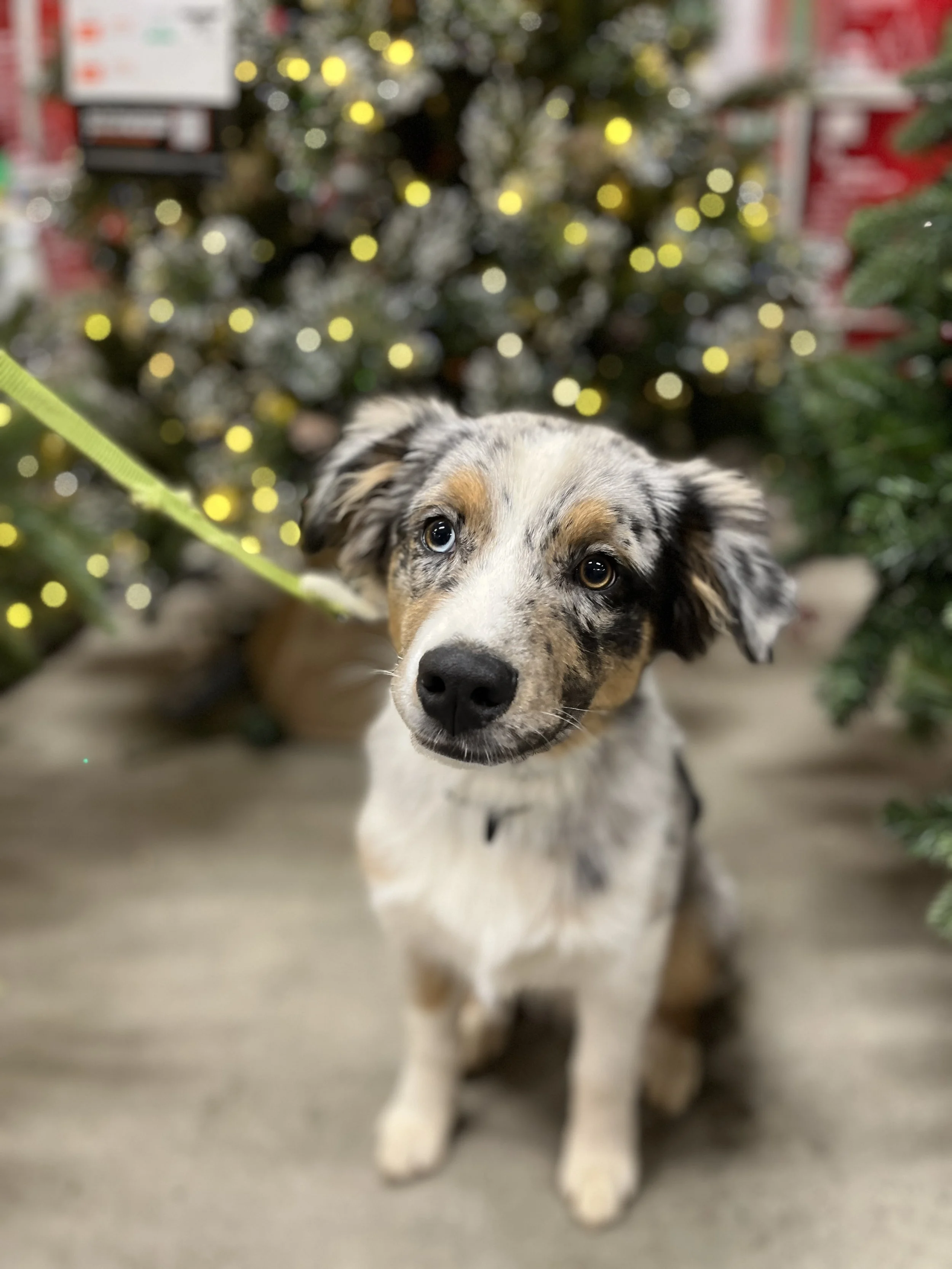 In-Person lesson package