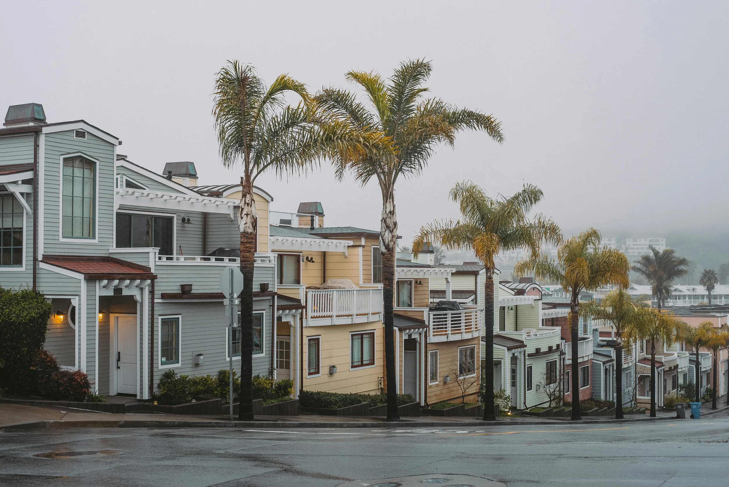 house with palm trees after the rain