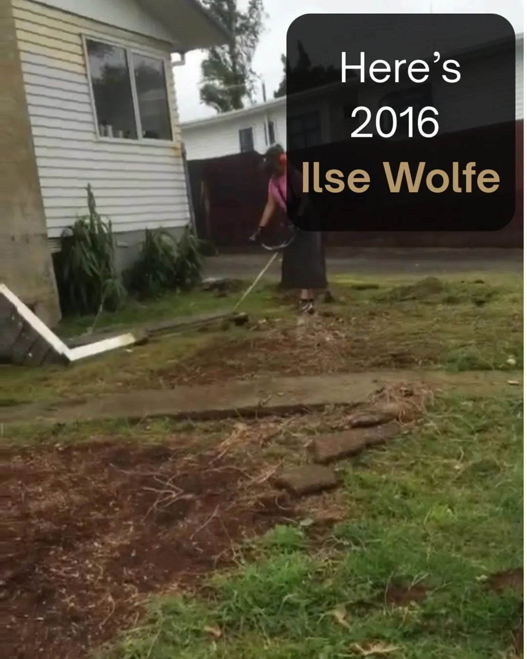 Meet 2016 Ilse Wolfe