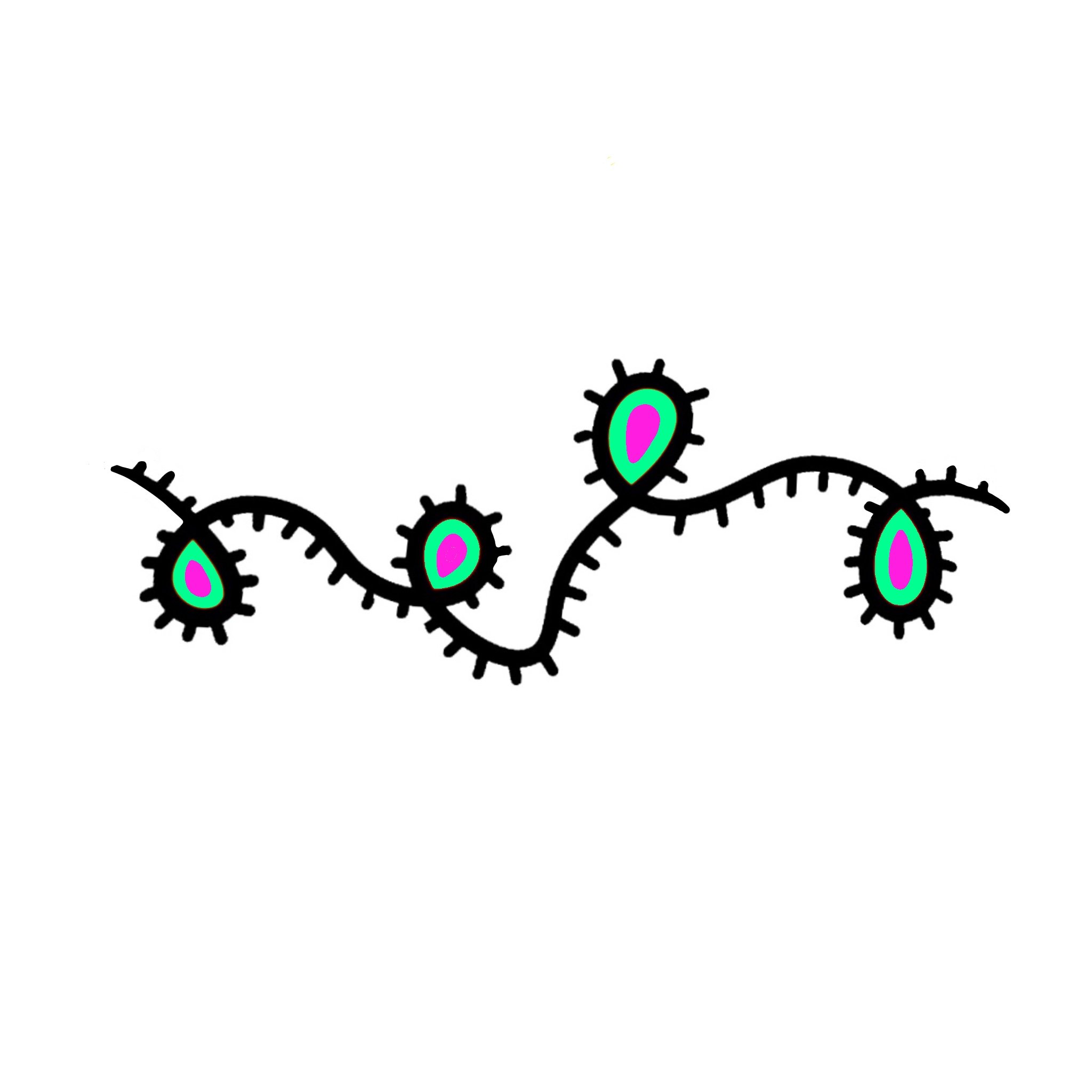 20BC11D4-A5D5-488D-AE56-569DB50598A2.jpeg